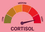 :CORTISOL: