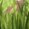 touch_grass animated GIF emoji - kismat™ | Socialize • Voice Calls • Events Friendly • community