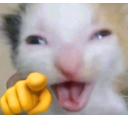 laughing_at_you_fool custom emote from tanhai | Social • Events • Gws • Nitro • Dating