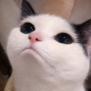:awww: