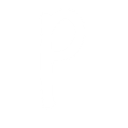Lowercase letter p in white on a black background.