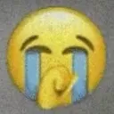 son custom emote - the <𝚒𝚗𝚜𝚎𝚛𝚝 𝚑𝚎𝚛𝚎> server □
