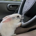 emoji_41 Discord sticker from 𝑃𝑎𝑤💤.𝑒𝑥𝑒