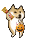 A Shiba Inu dog stands holding a candy bar in one paw and a jack-o'-lantern candy bucket in the other.