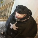 :emoji_21: