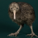 A brown kiwi bird standing against a dark green background with a blank, confused expression.