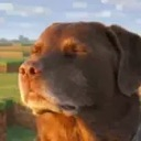 :__: