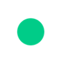 A bright neon green circle centered on a black background.