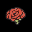 A red rose with a textured, brain-like appearance set against a black background.