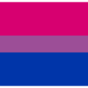 :3574bisexualflag: