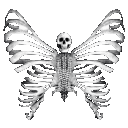 :95294skeletonbutterfly1: