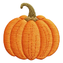Pumpkin with a textured orange surface and a brown stem.