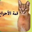 Screenshot__ custom emote | # ~ 𝐄𝐦𝐩𝐢𝐫𝐞 𝐖𝐞𝐬𝐭 𝟏𝟖𝟕