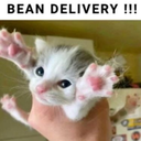 BEANS custom emote | ₊˚⊹♡ 𝑷𝒂𝒘𝒑𝒓𝒊𝒏𝒕 𝑷𝒂𝒓𝒂𝒅𝒊𝒔𝒆 ♡⊹˚₊