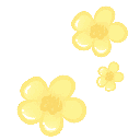 :01_flowers: