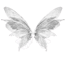 :04_silverwings: