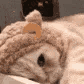 Gifstars_cat8 animated GIF emoji from 𝑨𝒍𝒕𝒆𝒓𝒏𝒂𝒕𝒊𝒗𝒆 𝑯𝒂𝒗𝒆𝒏 𝟐𝟎+ 🦇