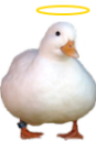 HolyDuck Discord Emoji - 𝑨𝒍𝒕𝒆𝒓𝒏𝒂𝒕𝒊𝒗𝒆 𝑯𝒂𝒗𝒆𝒏 𝟐𝟎+ 🦇