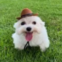 Annes_dog Discord emoji