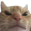 :SLM_angry: