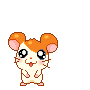 hamtarodead animated emote | 𓆩༺ 𝑆𝑐ℎ𝑟𝑜𝑛𝑖𝑠𝑘𝑜 ༻𓆪
