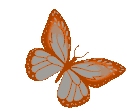 darkorangebutterfly animated emote | 𓆩༺ 𝑆𝑐ℎ𝑟𝑜𝑛𝑖𝑠𝑘𝑜 ༻𓆪