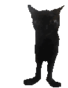 jinxbounce animated Discord emote - 𓆩༺ 𝑆𝑐ℎ𝑟𝑜𝑛𝑖𝑠𝑘𝑜 ༻𓆪