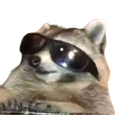 raccooncool custom emote from 𓆩༺ 𝑆𝑐ℎ𝑟𝑜𝑛𝑖𝑠𝑘𝑜 ༻𓆪