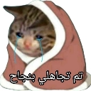A crying cat wrapped in a brown blanket with blue tears streaming down its face.