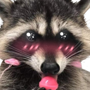 racoonlove Discord Emoji | 𓆩༺ 𝑆𝑐ℎ𝑟𝑜𝑛𝑖𝑠𝑘𝑜 ༻𓆪
