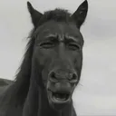 :niggawhat: