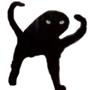 wtfcat custom emote | 𓆩༺ 𝑆𝑐ℎ𝑟𝑜𝑛𝑖𝑠𝑘𝑜 ༻𓆪