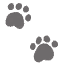 Animal paw prints arranged in a repeating trail pattern.