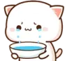 cry