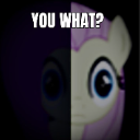 FluttershyYouWhat custom emote | Fluttershy and Redheart's Hostel