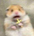 godbless custom emote from UNGZ