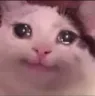 catcrynsmile custom emote | UNGZ