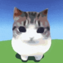 Four identical kittens with large eyes stand in a row against a blue sky and green grass background.