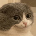 cat_smile Discord Emoji from GGEZ