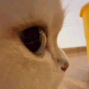 sideeye Discord Emoji from GGEZ