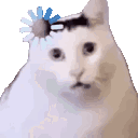 A white cat with a blank expression has a blue loading icon spinning above its head.