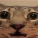widehuh custom emote - GGEZ