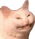 catweird Discord sticker from GGEZ