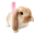 bun Discord sticker from nurse emotes