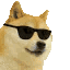 :Cool_Flex: