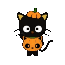 A cute black cat wearing a pumpkin hat and holding a small pumpkin.
