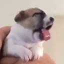 emoji_21 custom emote | Defecit Gang • DG