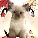 gatito Discord Emoji - Defecit Gang • DG