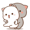 kittyspinning
