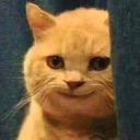emoji_13 custom emote | stuff and things for Grim server